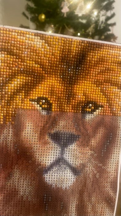 Фотография покупателя товара Алмазная мозаика с полным заполнением на холсте «Лев», 15×21 см - Фото 11