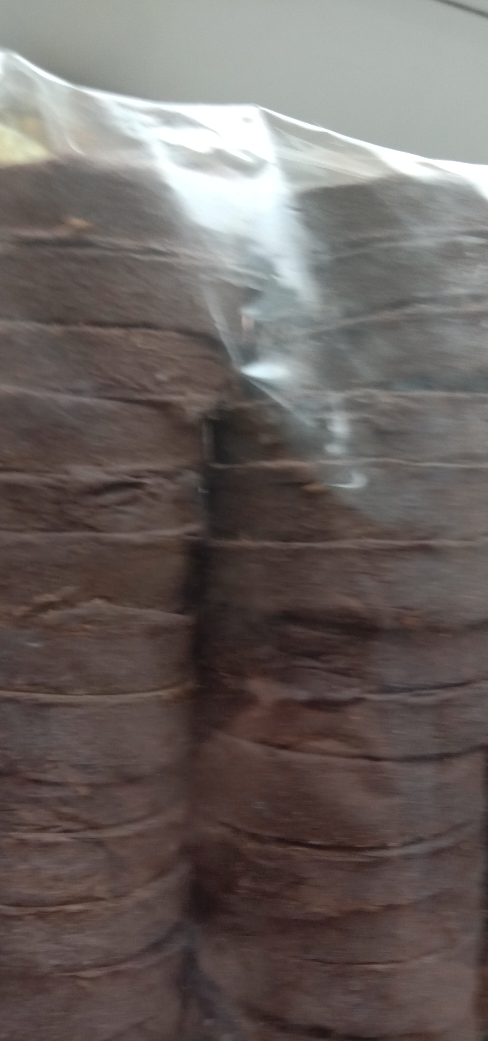 Фотография покупателя товара Таблетки торфяные, d = 3.6 см, с оболочкой, набор 50 шт. - Фото 10