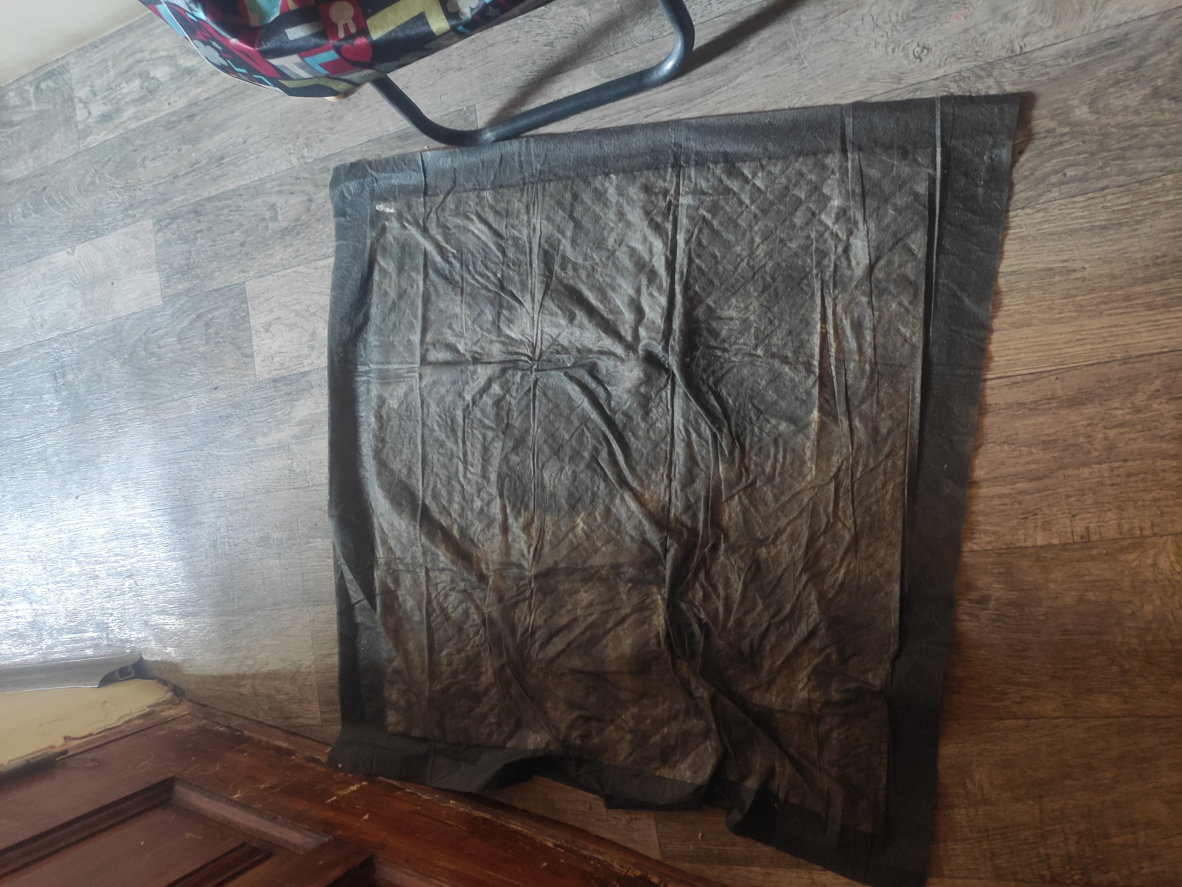 Фотография покупателя товара Пеленки впитывающие "Пижон Black" для животных гелевые, 60 х 60 см, (в наборе 10 шт) - Фото 2