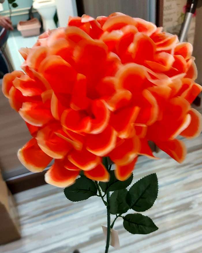 Фотография покупателя товара Цветы искусственные "Герань королевская" 16х60 см, красный