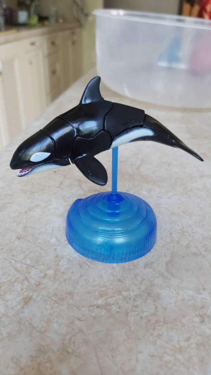 Фотография покупателя товара 3D пазл «Морские животные», 4 вида, МИКС - Фото 1