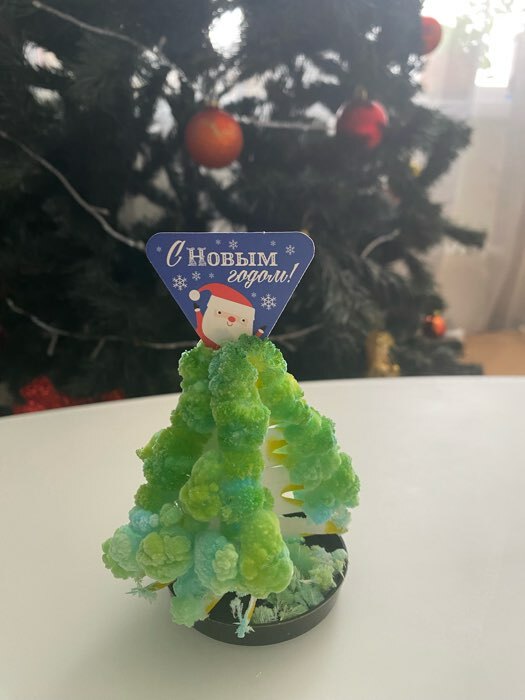 Фотография покупателя товара УЦЕНКА Набор для опытов «Новогодние кристаллы» - Фото 1