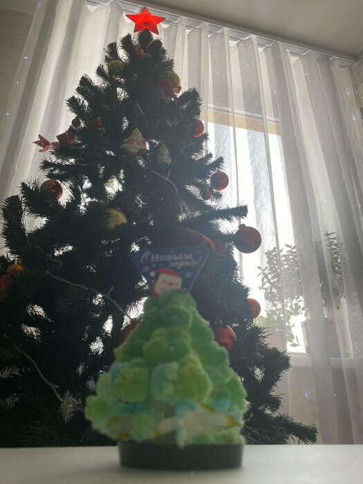 Фотография покупателя товара УЦЕНКА Набор для опытов «Новогодние кристаллы» - Фото 2