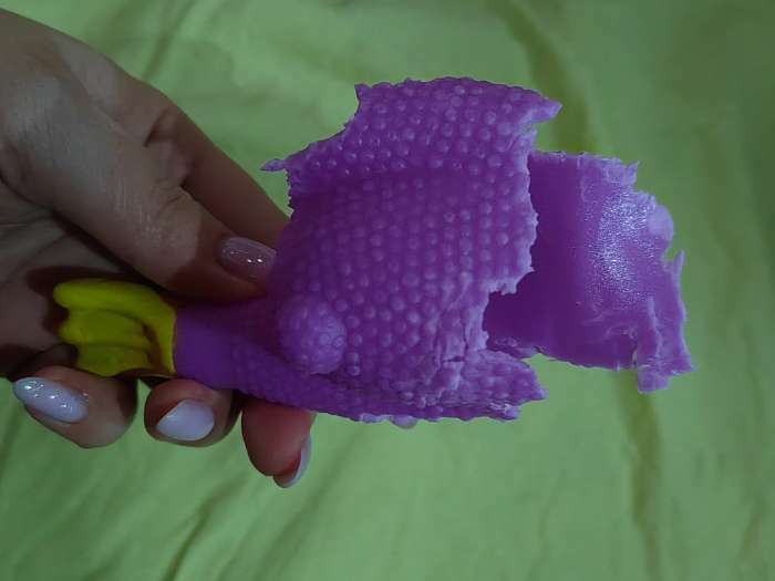 Фотография покупателя товара Игрушка пищащая "Летящая утка" для собак, 24 x 7 см, фиолетовая