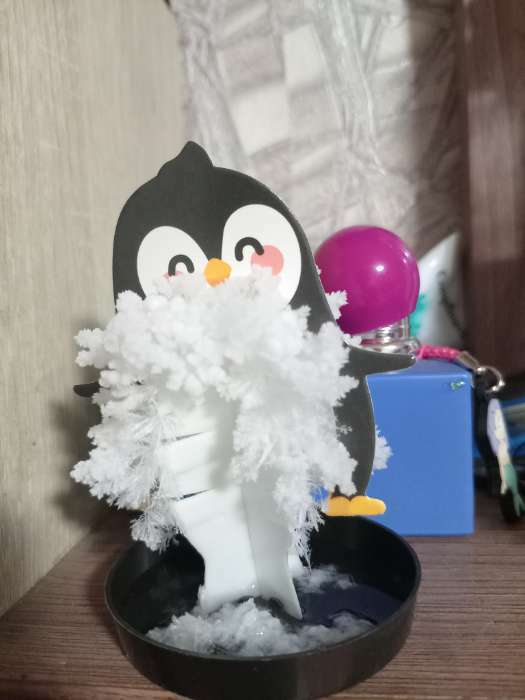 Фотография покупателя товара Набор для выращивания кристалла «Опыты. Веселые кристаллы», пингвин