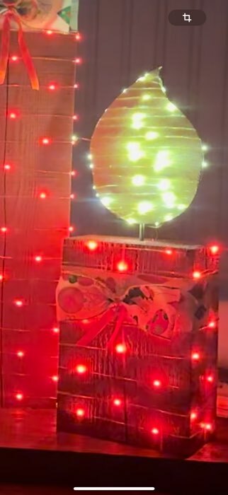 Фотография покупателя товара Гирлянда «Нить» 10 м роса, IP20, серебристая нить, 100 LED, свечение красное, 12 В - Фото 1