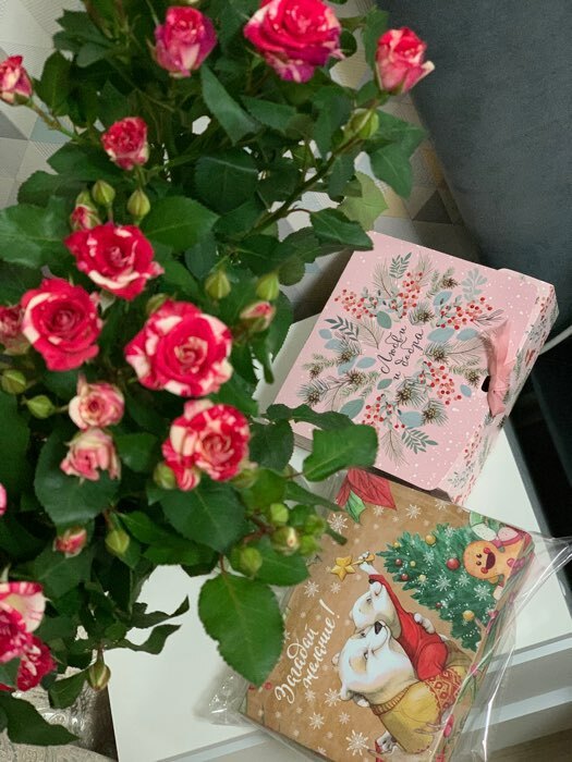 Фотография покупателя товара Складная коробка подарочная «Новогодняя ботаника», 16.5 × 12.5 × 5 см - Фото 2