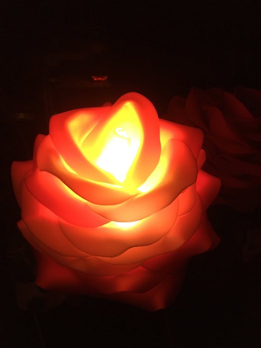 Фотография покупателя товара Лампа светодиодная Ecola, G4, 3 Вт, 4200 K, 320°, дневной белый - Фото 1