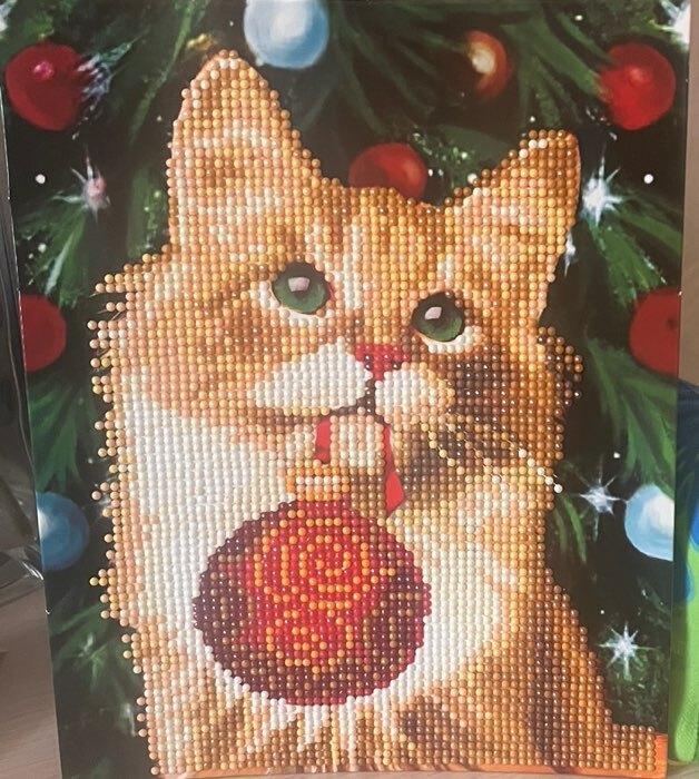 Фотография покупателя товара Новогодняя алмазная мозаика с частичным заполнением «Новый год. Рыжий кот», 20 х 25 см