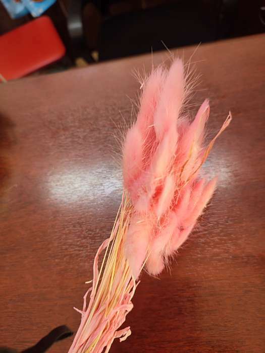 Фотография покупателя товара Сухоцветы «Лагурус», набор 30 шт., цвет розовый