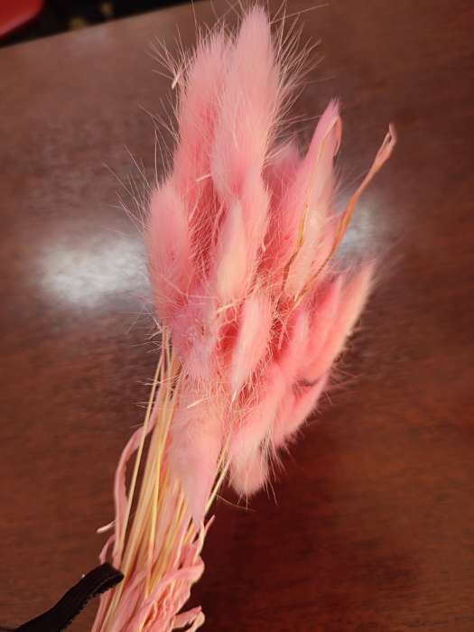 Фотография покупателя товара Сухоцветы «Лагурус», набор 30 шт., цвет розовый