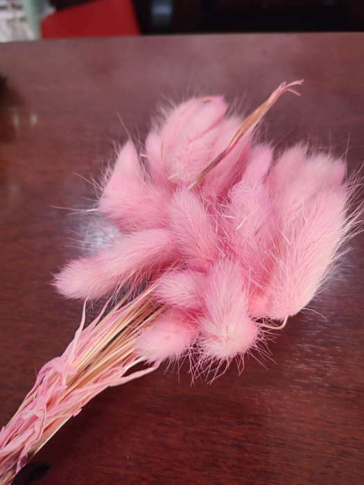 Фотография покупателя товара Сухоцветы «Лагурус», набор 30 шт., цвет розовый - Фото 19