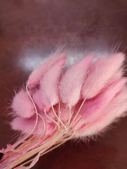 Фотография покупателя товара Сухие цветы лагуруса, набор 30 шт., цвет розовый - Фото 15