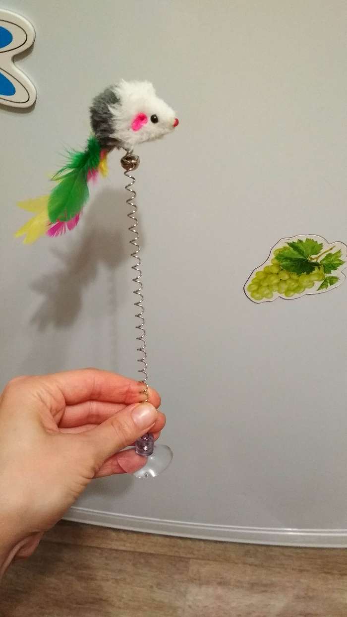 Фотография покупателя товара Дразнилка на присоске "Мышь", искусственный мех с перьями, 20 см, микс цветов - Фото 2