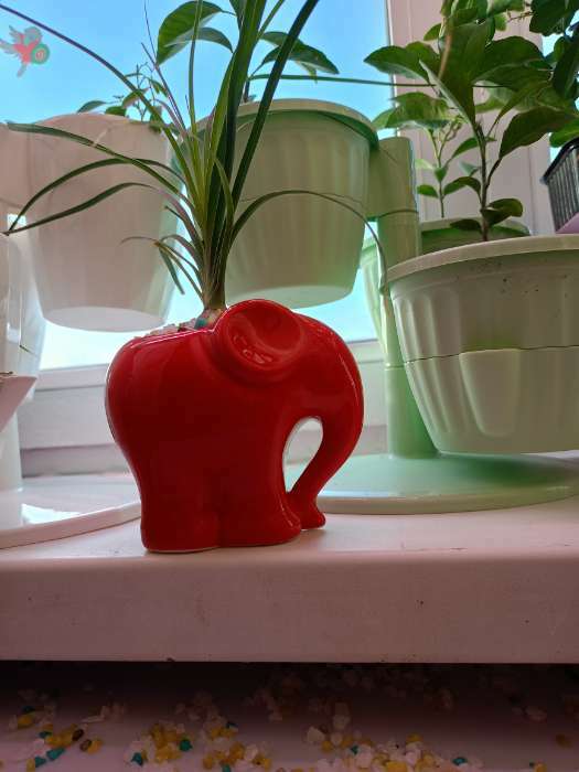 Фотография покупателя товара Декоративный горшок для цветов «Слоник», керамический, 350 мл, 12×8.5×10 см, голубой - Фото 1