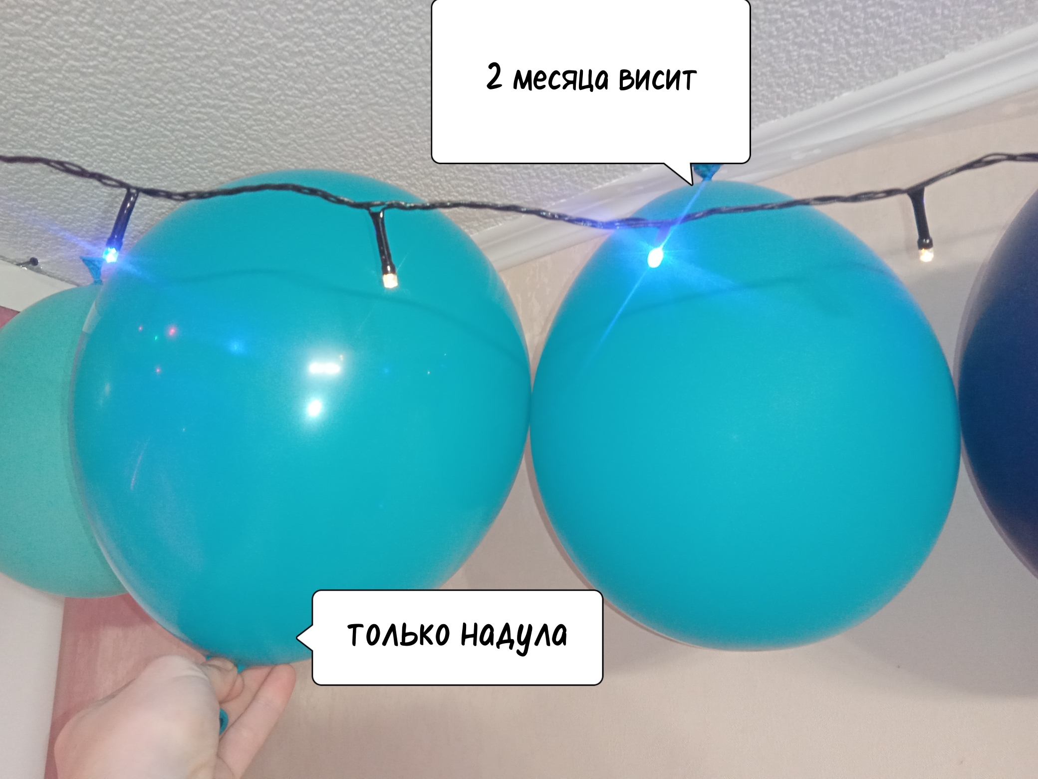 Фотография покупателя товара Шар латексный 12" «Макарун», набор 12 шт., цвет голубой