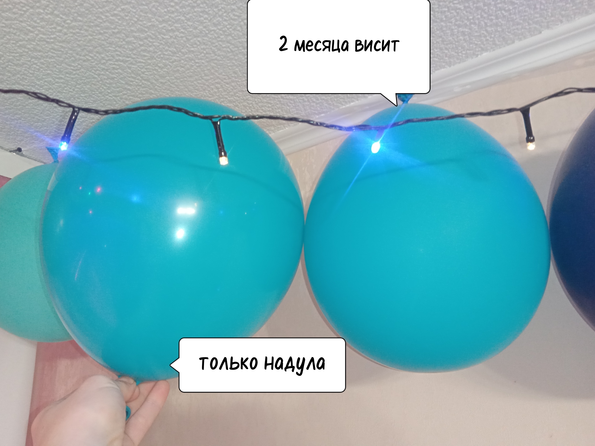 Фотография покупателя товара Шары воздушные латексные 12", стандарт, набор 12 шт., цвет бирюзовый - Фото 3