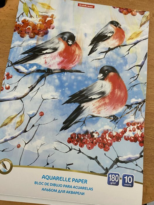Фотография покупателя товара Альбом для акварели А4, 10 листов на клею, ErichKrause ArtBerry «Снегири», блок 180 г/м², экстра белая, твёрдая подложка - Фото 4