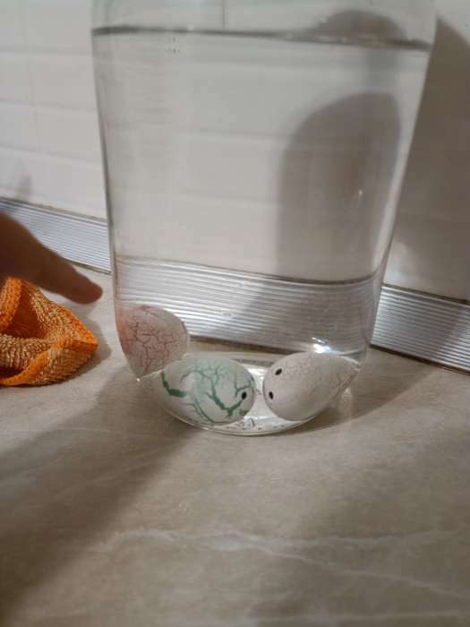 Фотография покупателя товара Растущие игрушки «Единорог», в мраморном яйце, МИКС - Фото 4