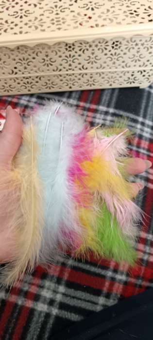 Фотография покупателя товара Перья декоративные страусиные, 10-12 см, набор 24 шт., 6 цветов, пастель, ассорти - Фото 2