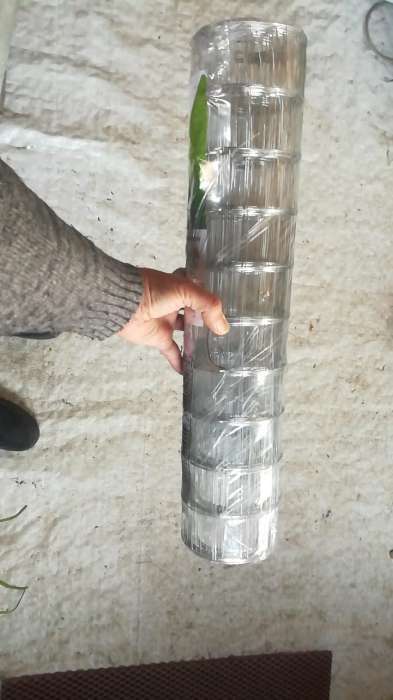 Фотография покупателя товара Сетка оцинкованная, сварная, 10 (±0.5)×0.5 м, ячейка 50×50 мм, d=0.7 мм, Greengo - Фото 1