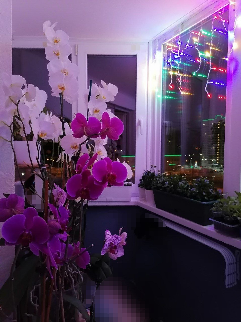 Фотография покупателя товара Гирлянда «Бахрома» 3 × 0.6 м, IP44, УМС, белая нить, 160 SMD-LED, свечение мульти, 220 В - Фото 1