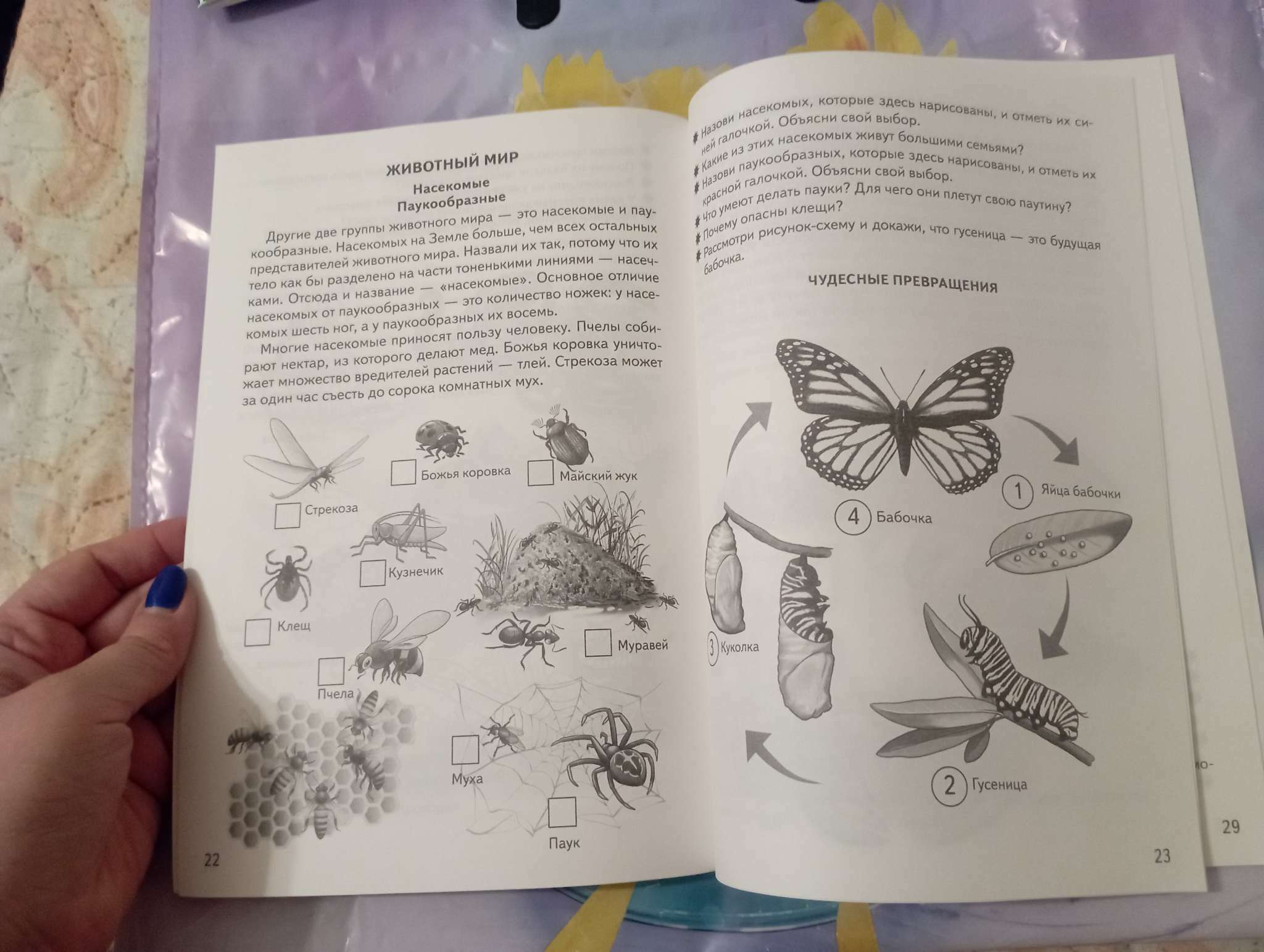 Фотография покупателя товара Рабочая тетрадь для детей 4-5 лет «Знакомство с окружающим миром», Бортникова Е. - Фото 2