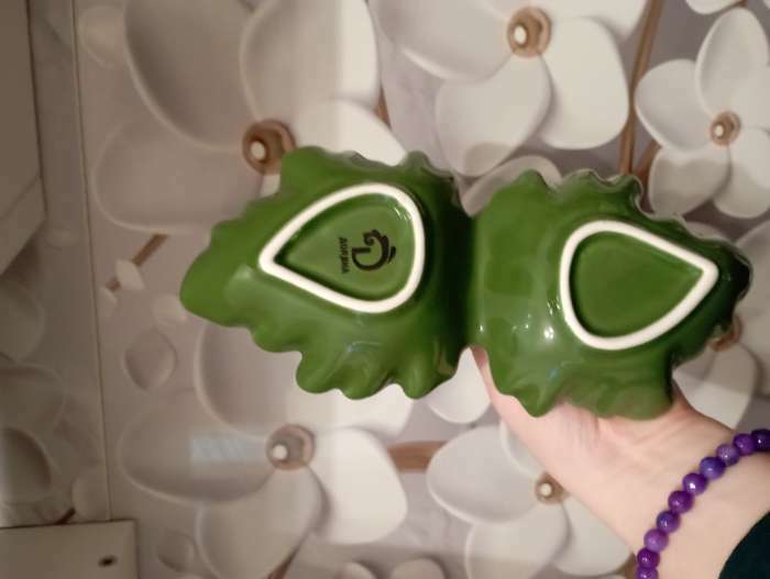 Фотография покупателя товара Менажница 2 ячейки Доляна «Лист», 21.8×6.9 см, доломит, зелёная - Фото 2