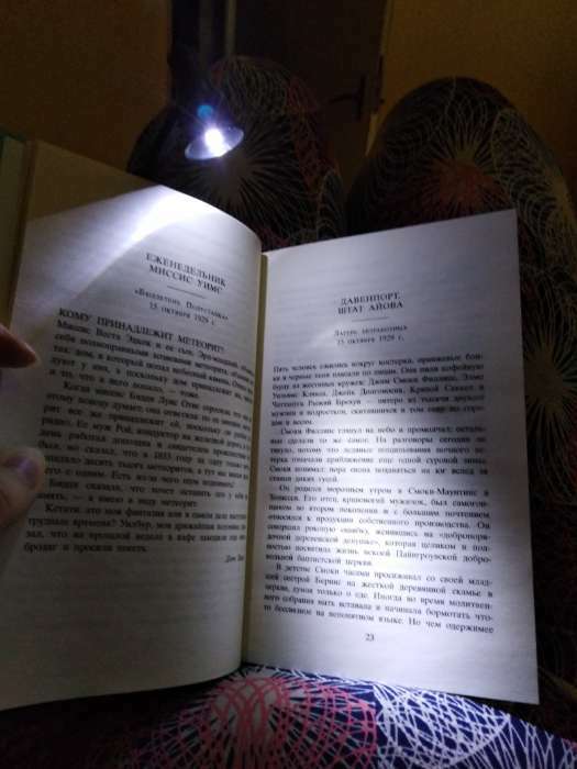 Фотография покупателя товара Фонарь-лампа "Мастер К", с закладкой для чтения книг, LR41