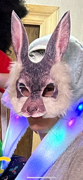 Фотография покупателя товара Маска карнавальная "Заяц с мехом"