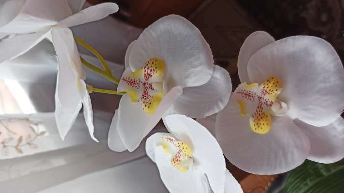 Фотография покупателя товара Цветы искусственные "Орхидея фаленопсис" премиум, 7х55 см, белый
