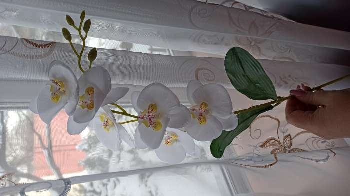 Фотография покупателя товара Цветы искусственные "Орхидея фаленопсис" премиум, 7х55 см, белый - Фото 6