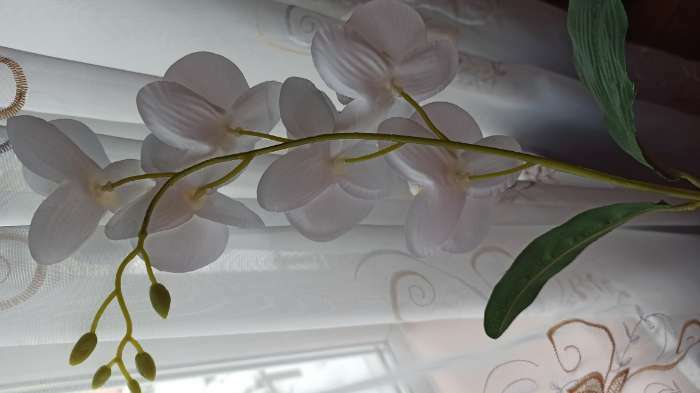 Фотография покупателя товара Цветы искусственные "Орхидея фаленопсис" премиум, 7х55 см, белый - Фото 7