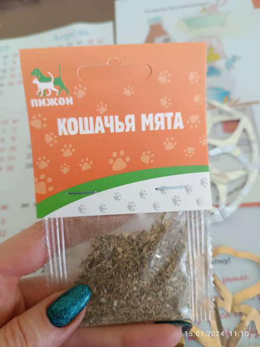 Фотография покупателя товара Кошачья мята «Пижон», 1 г - Фото 5