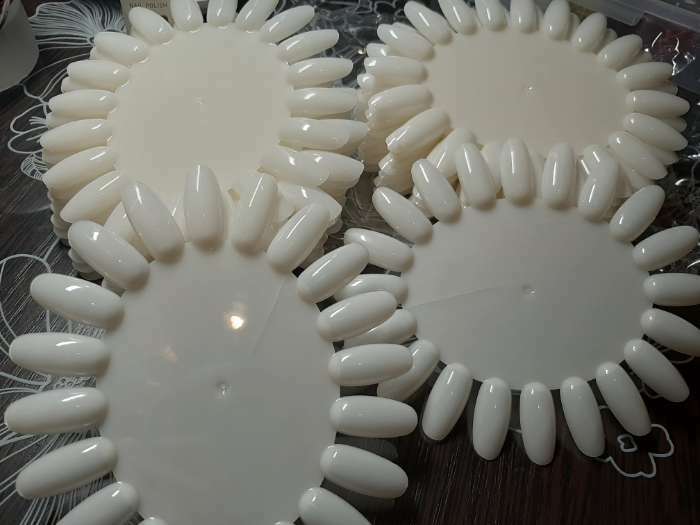 Фотография покупателя товара Палитра для лаков «Овальная», 20 ногтей, фасовка 10 шт, цвет слоновая кость - Фото 7