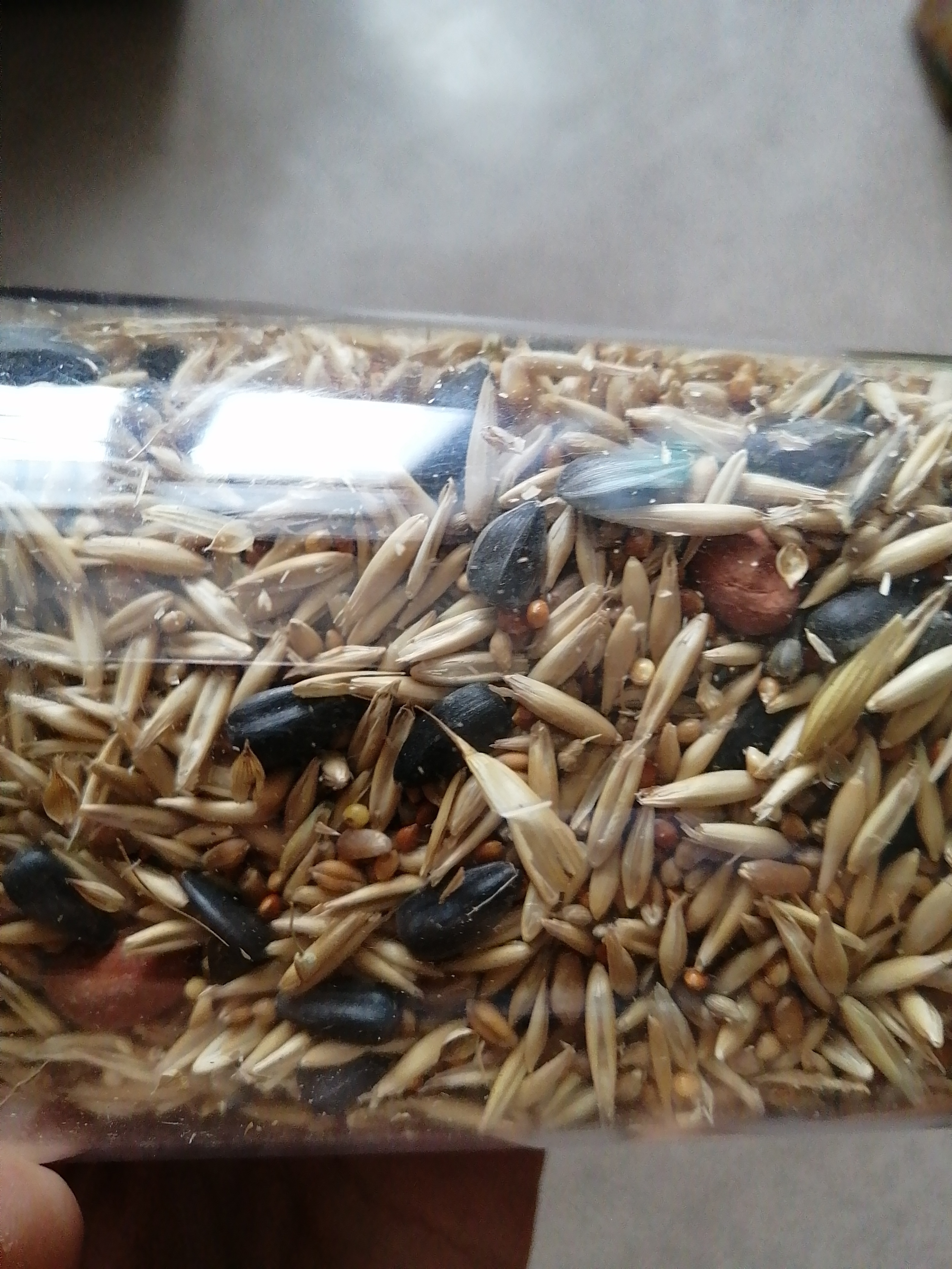 Фотография покупателя товара Корм зерновой "Мышильд стандарт" для декоративных хомяков, с орехами, 500 г, коробка