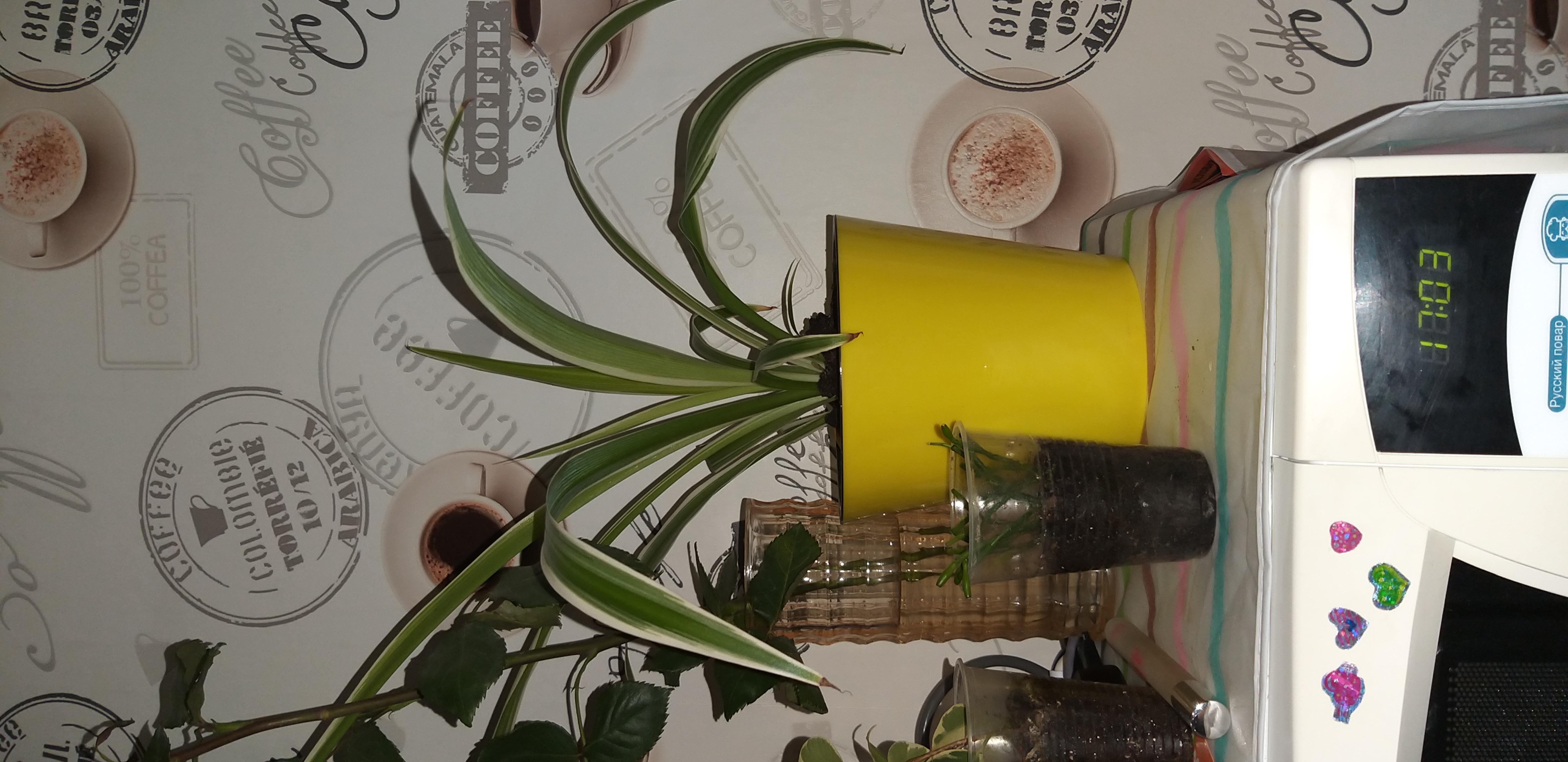 Фотография покупателя товара Кашпо для цветов со вставкой «Фиджи», 1,6 л, цвет жёлтый - Фото 3