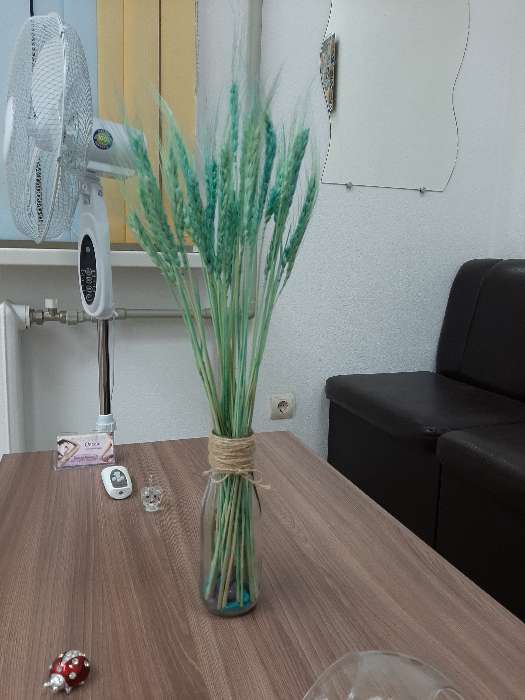 Фотография покупателя товара Сухой колос пшеницы, набор 50 шт., цвет фиолетовый - Фото 11