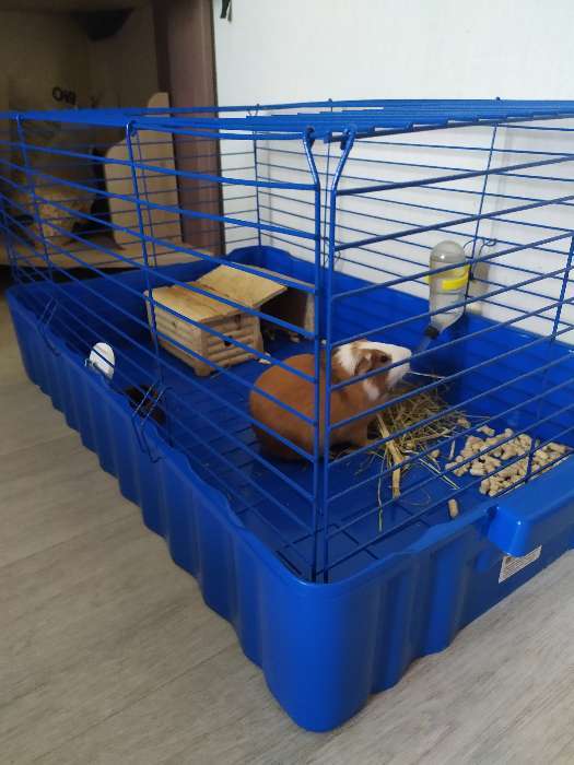 Фотография покупателя товара Клетка для кроликов № 4, 75 х 46 х 40 см, синий/синий - Фото 1