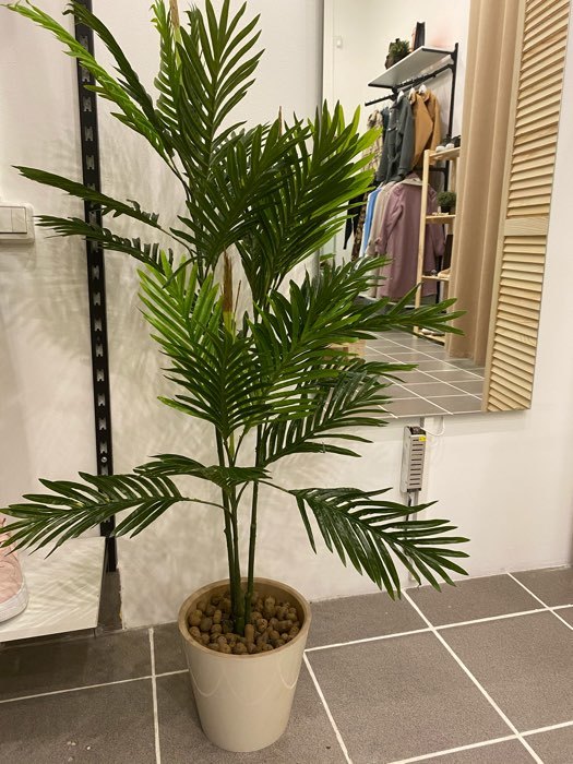 Фотография покупателя товара Дерево искусственное "Пальма" 120 см - Фото 9