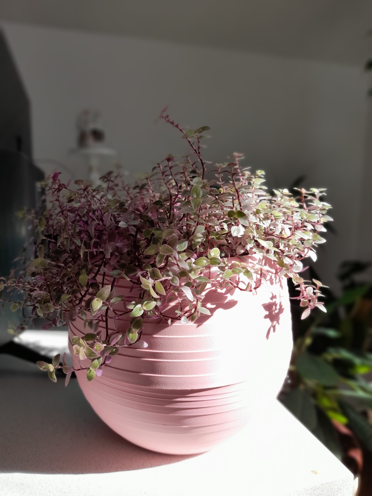 Фотография покупателя товара Горшок для цветов «Япония» 1,2 л, цвет розовый - Фото 3