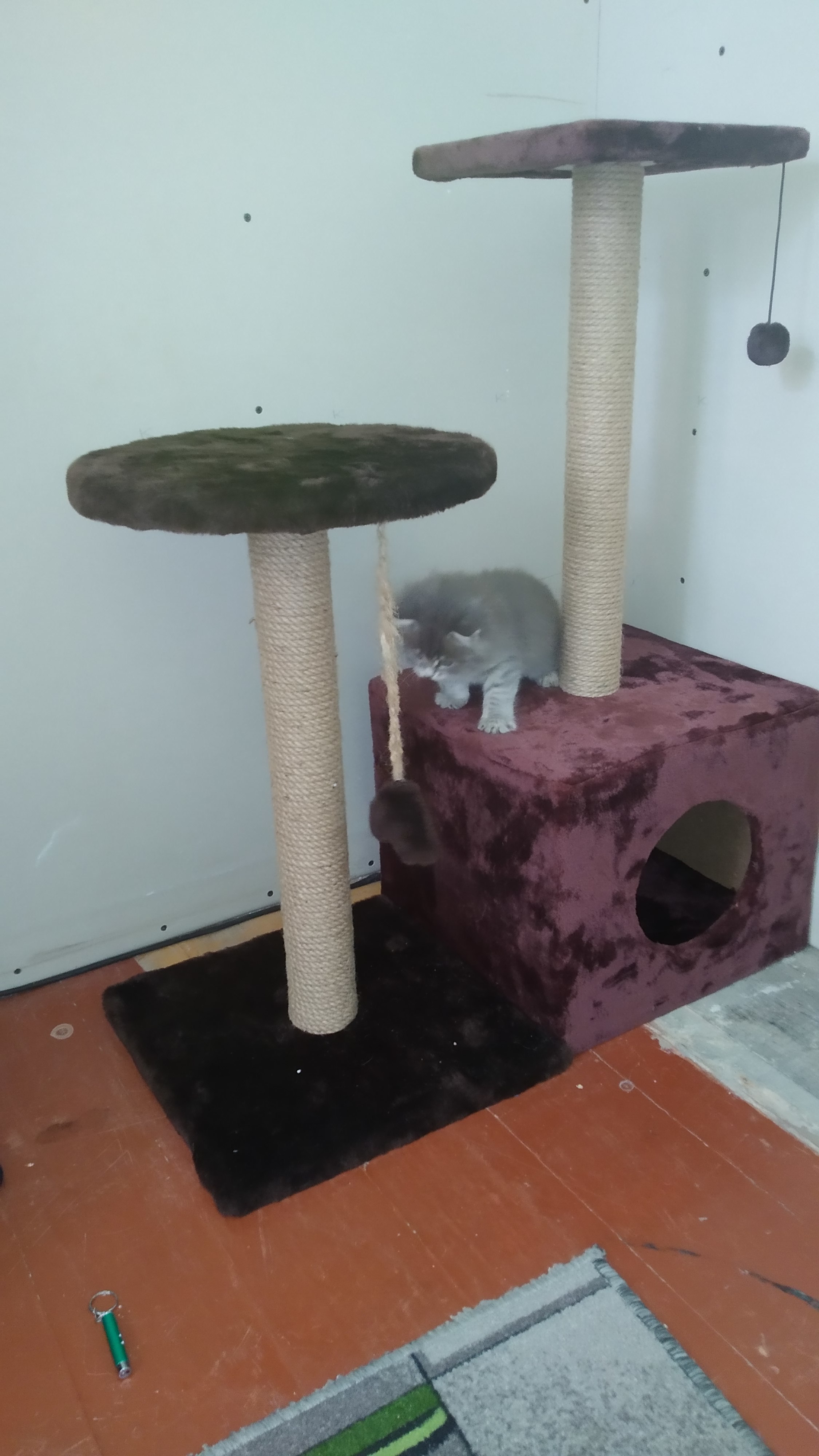 Фотография покупателя товара Домик для кошек с когтеточкой "Куб", с площадкой и игрушкой, 35 х 30 х 85 см, микс цветов - Фото 21