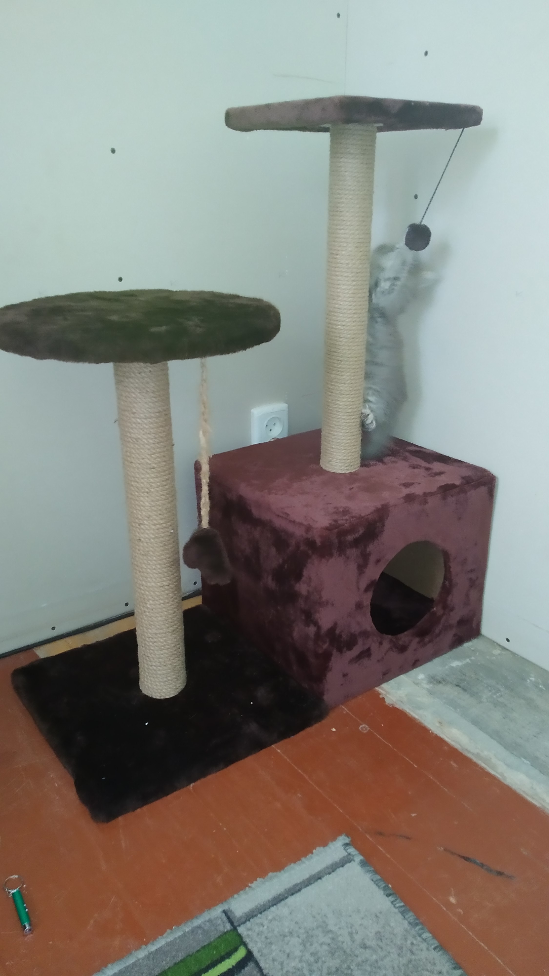 Фотография покупателя товара Домик для кошек с когтеточкой "Куб", с площадкой и игрушкой, 35 х 30 х 85 см, микс цветов - Фото 20