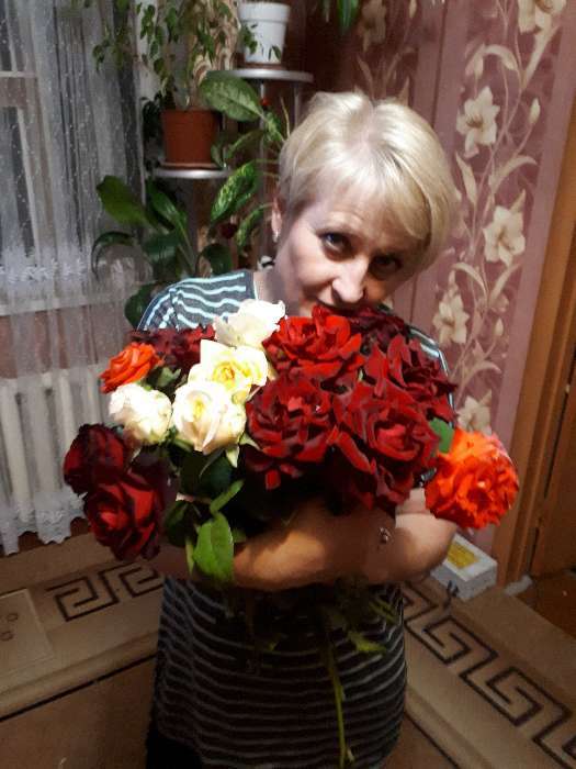 Фотография покупателя товара Саженец розы Белла Вита,  Весна 2024, 1 шт. - Фото 5