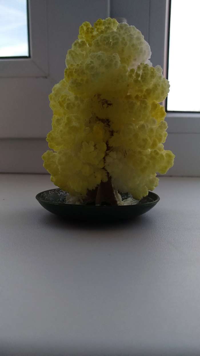 Фотография покупателя товара Набор для выращивания кристалла «Волшебное дерево» цвет белый - Фото 34