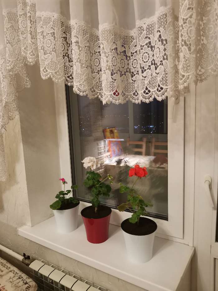 Фотография покупателя товара Кашпо для цветов со вставкой «Арте», 2 л, цвет красно-чёрный - Фото 2