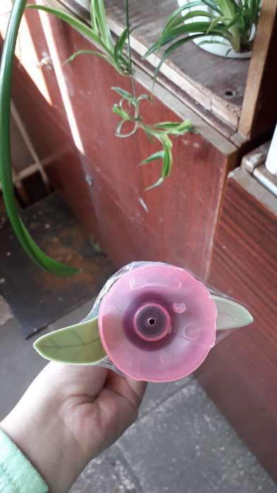 Фотография покупателя товара Садовый светильник Uniel на солнечной батарее «Розовый тюльпан», 5 × 30.5 × 5 см, свечение белое - Фото 4