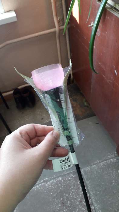 Фотография покупателя товара Садовый светильник Uniel на солнечной батарее «Розовый тюльпан», 5 × 30.5 × 5 см, свечение белое - Фото 5