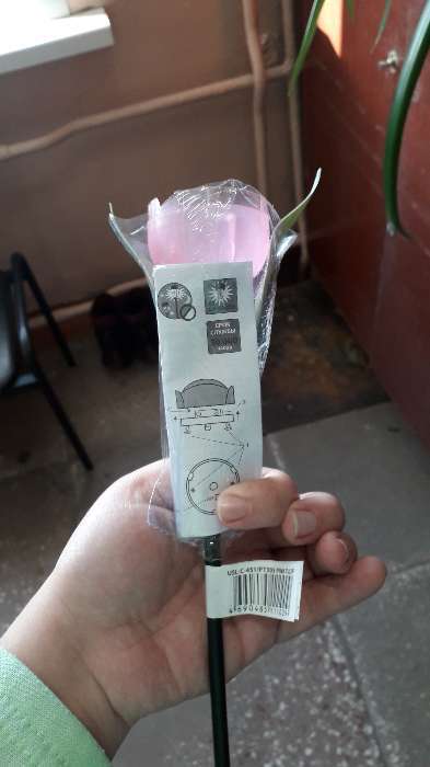 Фотография покупателя товара Садовый светильник Uniel на солнечной батарее «Розовый тюльпан», 5 × 30.5 × 5 см, свечение белое - Фото 6