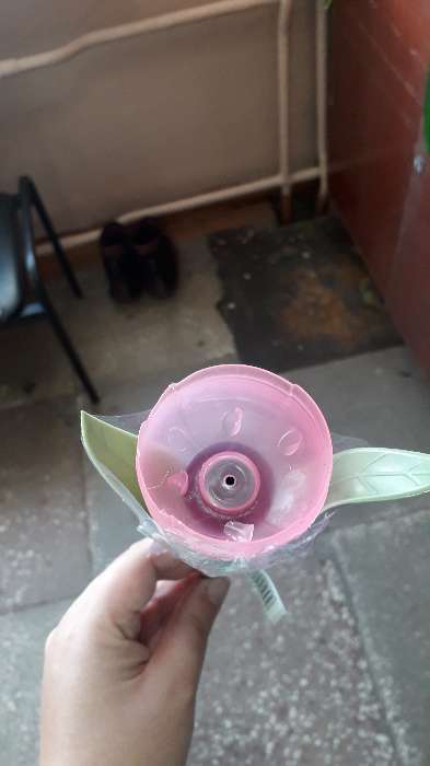 Фотография покупателя товара Садовый светильник Uniel на солнечной батарее «Розовый тюльпан», 5 × 30.5 × 5 см, свечение белое - Фото 7